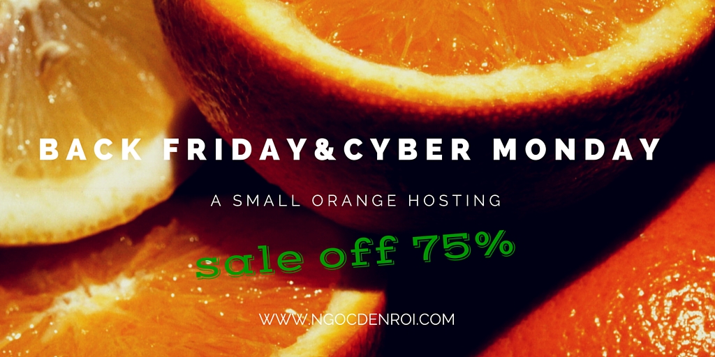 A Small Orange giam gia 75% hosting