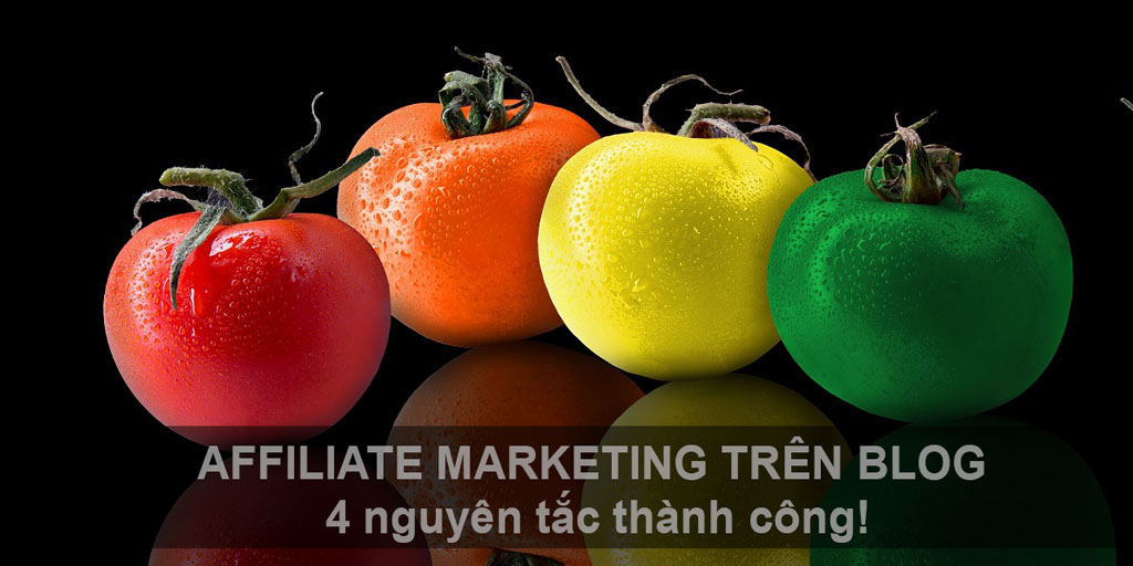 affiliate maketing trên blog