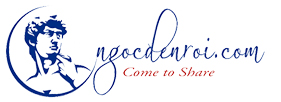 logo-ngocdenroidotcom