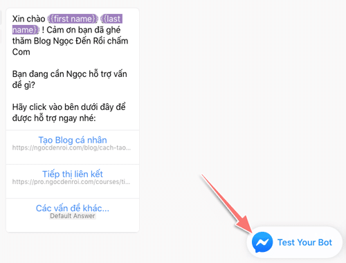 test chatbot trước khi chạy chính thức