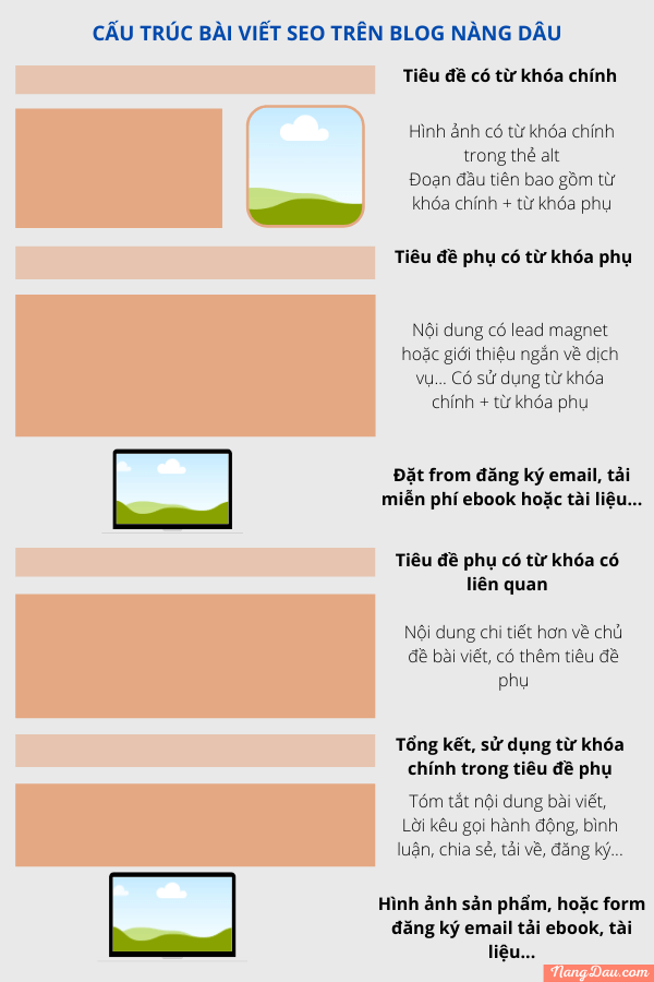 cấu trúc bài viết chuẩn seo cho blog